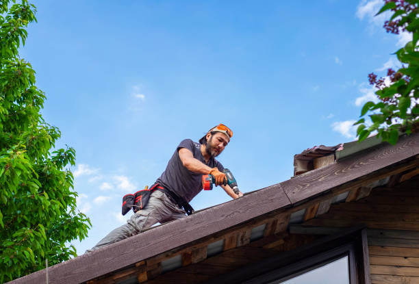 Best Chimney Flashing Repair  in Princeton, WV